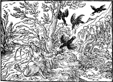 Ravens Feed Elijah
