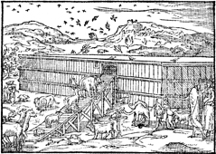 Animals Enter the Ark