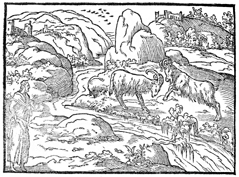Vision of the Ram and Goat