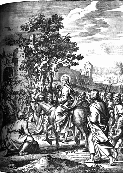 Triumphas Entry and the Fig Tree