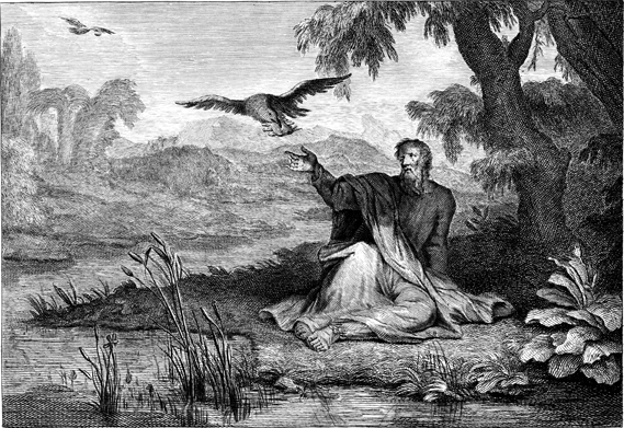 Ravens Feed Elijah