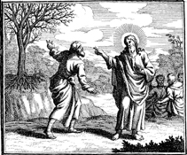 Jesus Curses the Fig Tree