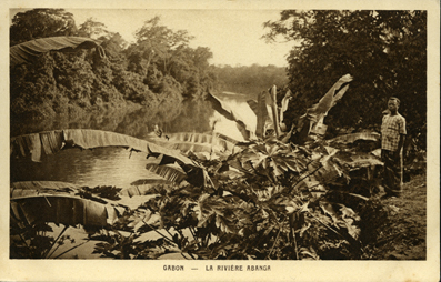 Gabon-La Riviere Abanga (The Abanga River)