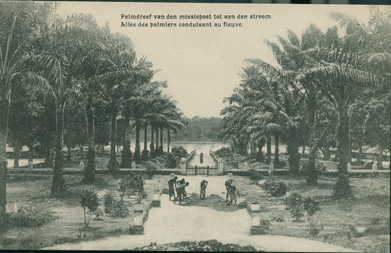 Allee des Palmiers Conduisant au Fleuve (Alley of Palm Trees Leading to the River)